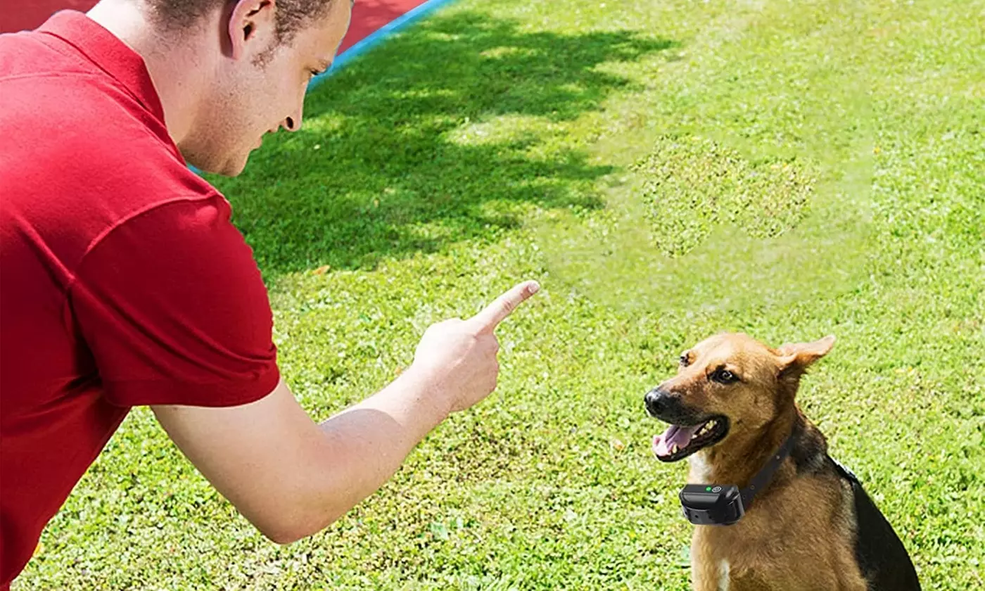 iMounTEK Wireless Electric Dog Fence System with Tone and Shock Containment