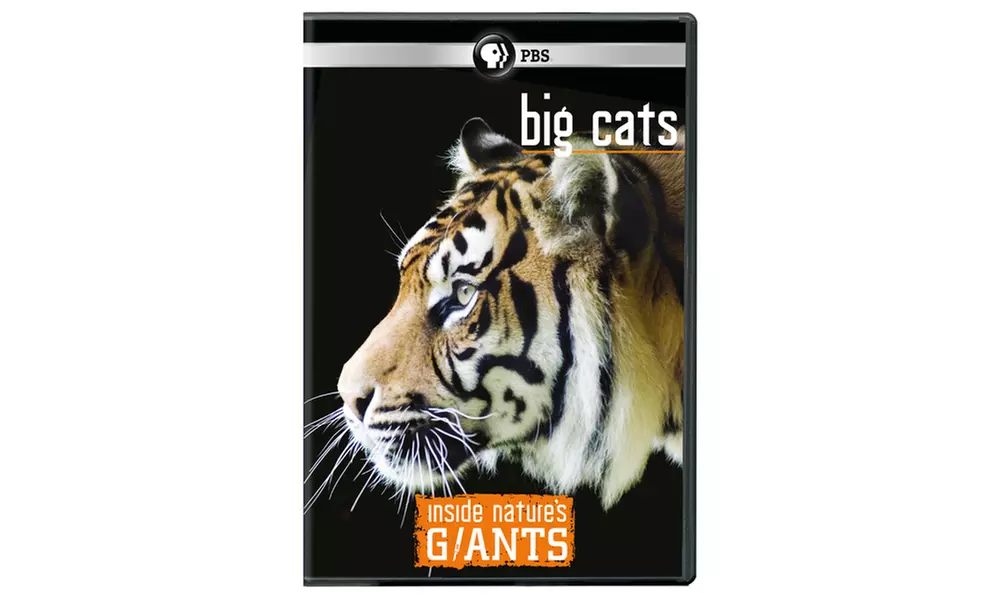 Inside Nature's Giants: Big Cats DVD - Primary Image