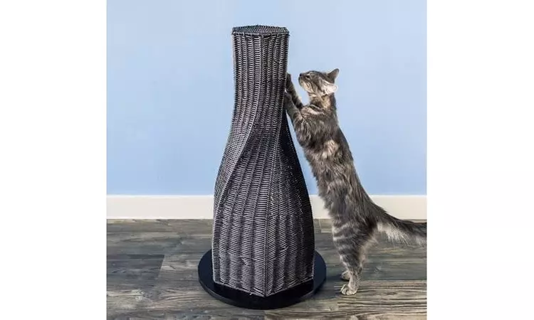 The Refined Feline Groupon Goods