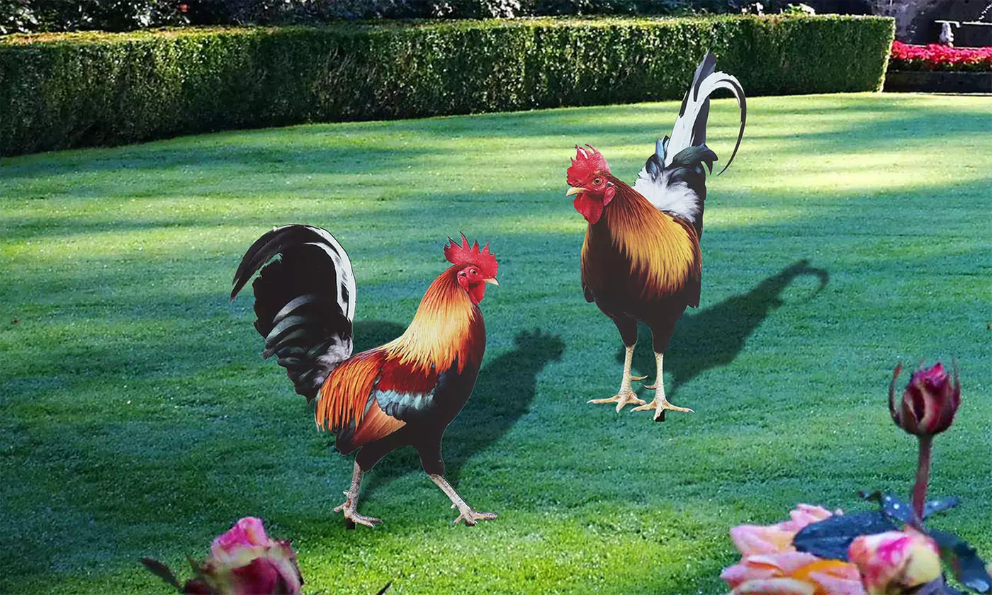 Rooster Decor Garden Statue Acrylic Chicken Yard Art Sculpture Outdoor Figurines