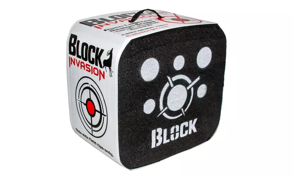 Block Invasion Archery Target Size 20 - Primary Image