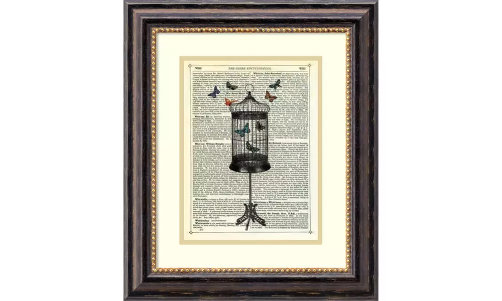 Marion McConaghie 'Bird Cage & Butterflies' Framed Art Print 17x20-in - Primary Image