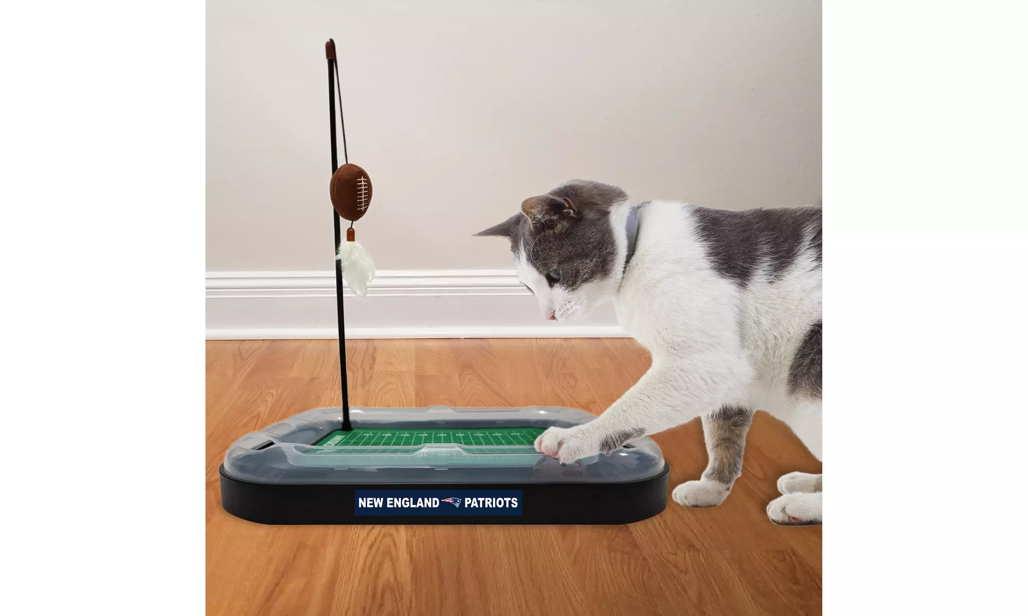 NFL Cat Scratcher - Primary Image