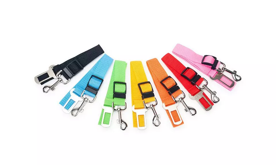 Dog or Cat Vehicle Seat Belt (2-Pack) - Primary Image