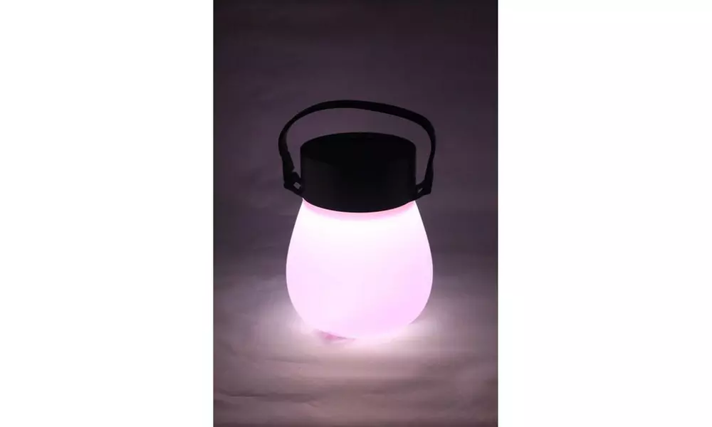 Solar-Powered LED Firefly Lanterns - Primary Image