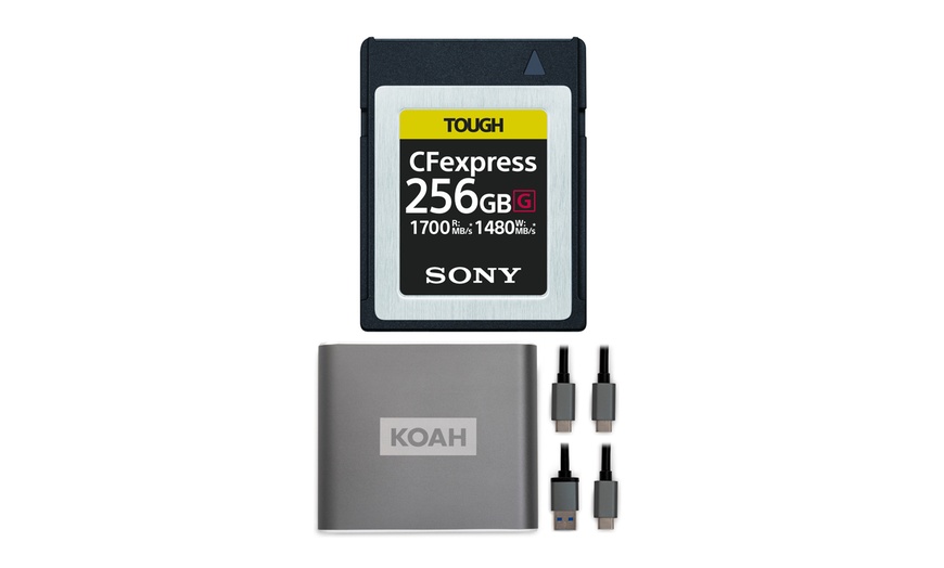 Up To 40% Off On Sony 256GB TOUGH CEB-G Series... | Groupon Goods