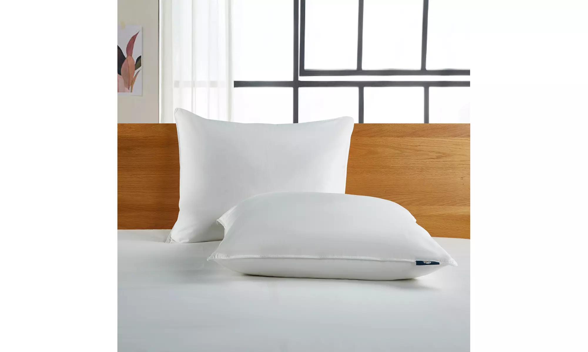 Serta Back-Sleeper White Goose Feather & Down Fiber Pillows (2-Pack)