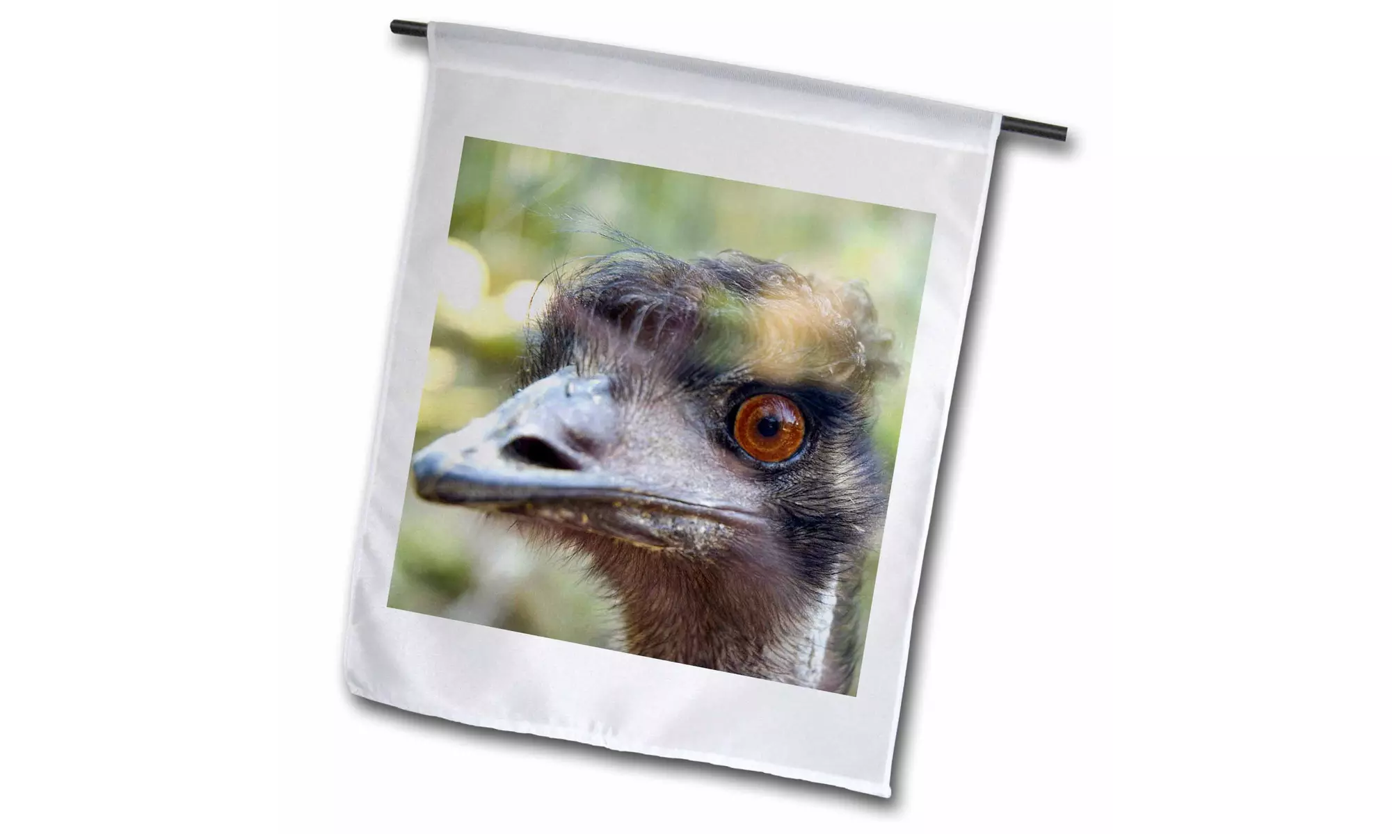  Garden Flag Emus face, Taronga Zoo, Sydney, NSW, Australia.-AU01 IHO0000 - Primary Image