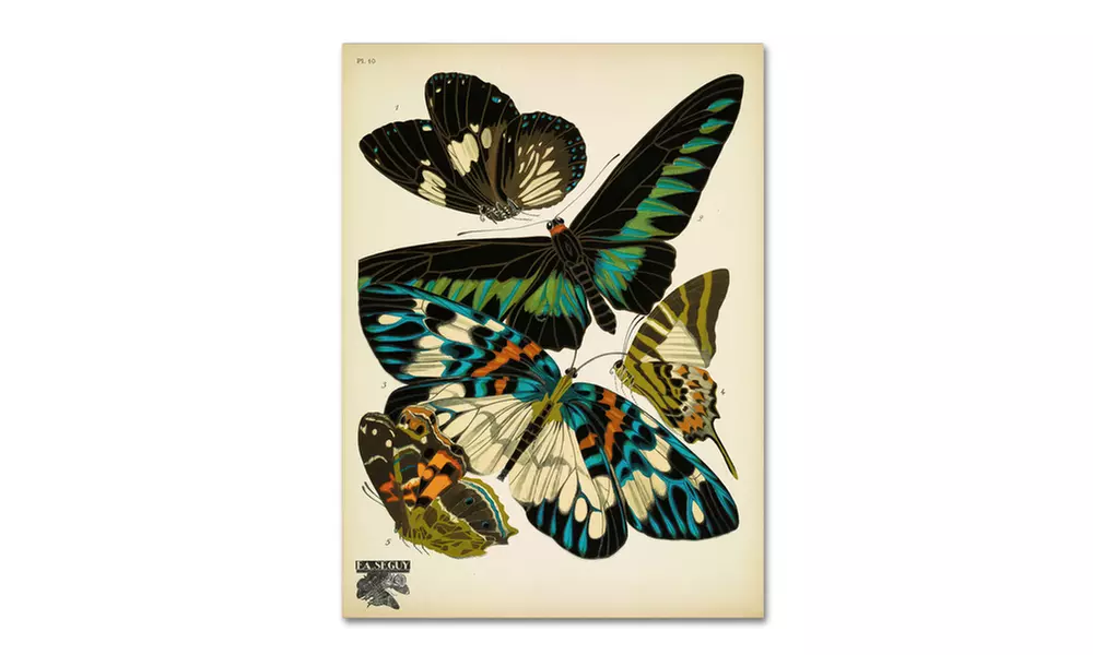 Vintage Apple Collection 'Papillons 10' Canvas Art - Primary Image