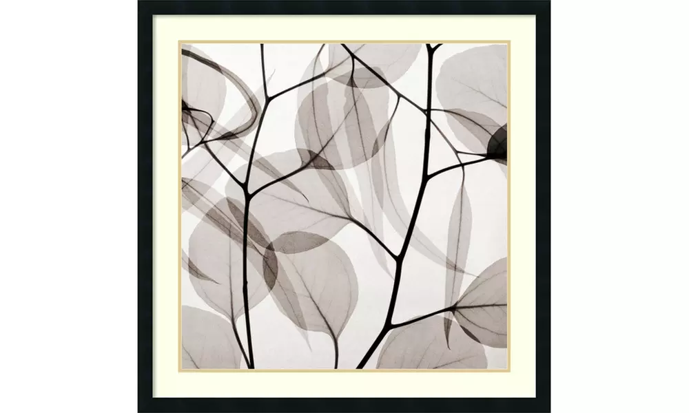 Meyers 'Eucalyptus Leaves (Positive)' Framed Art Print 34x34-in - Primary Image