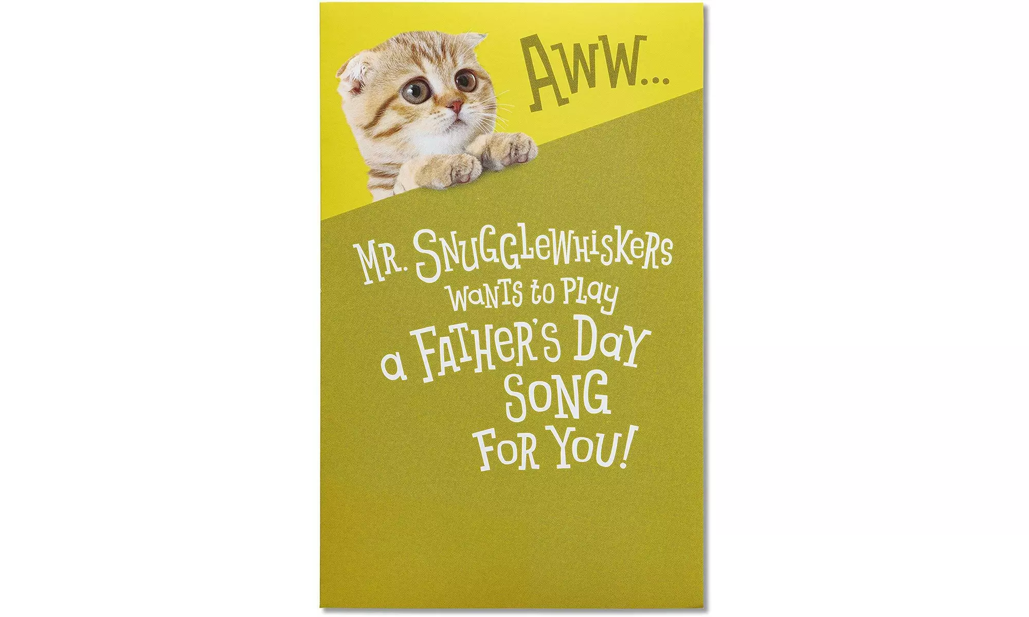 AMERICAN GREETINGS FUNNY MR SNUGGLE WHISKERS FATHERS DAY CARD WITH MUSIC AN - Second Medium