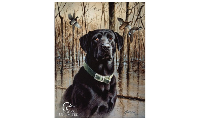 Groupon Goods Connected Supply: Ducks Unlimited Great Retrievers  hardware cloth home depot canada