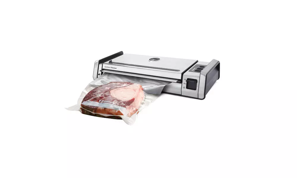 FoodSaver GameSaver Titanium Vacuum Sealer - Silver - Primary Image