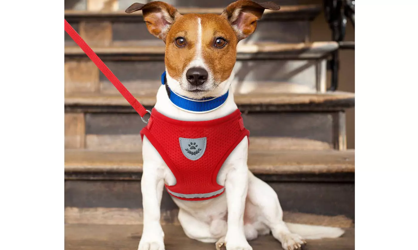 Two Pieces Pet Dog Puppy No-Pull Reflective Harness with Leash
