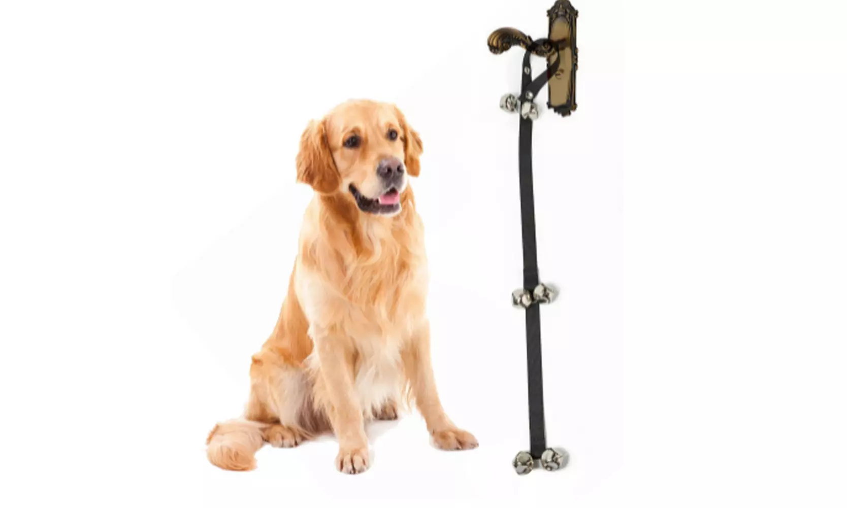 US 2-4 Pack Pet Dog Puppy Potty Training Door Bells Rope Housebreaking Anti Lost