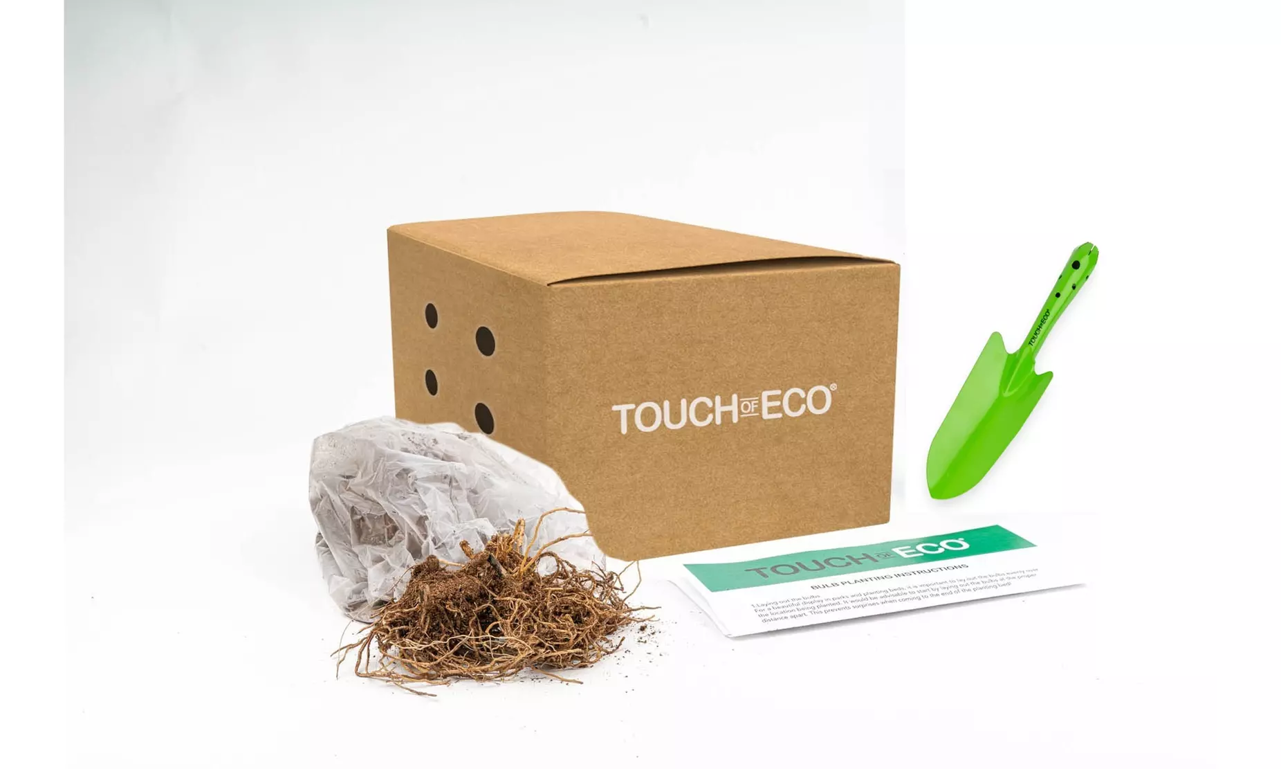 Flamingo Pink Amarine Belladiva Flower Bulbs(2-, 4-, 8-Pack with Planting Tool) - Second Medium