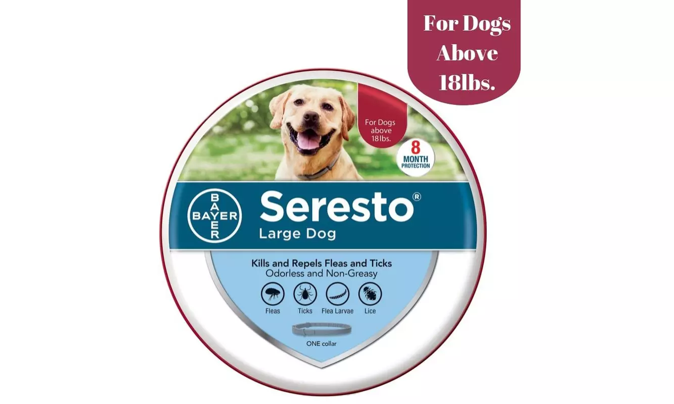 Seresto Flea Collar for Large Dogs&Puppies, 8-month Flea and Tick Prevention - Second Medium