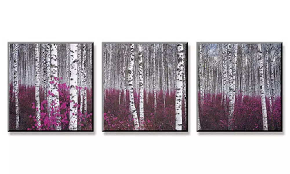 Silver Birch Forest, China - Primary Image