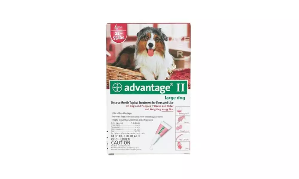 Advantage Flea Control for Dogs/Puppies 21-55 lbs 4 Pack - Primary Image