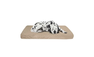 Large Orthopedic Memory Foam ...