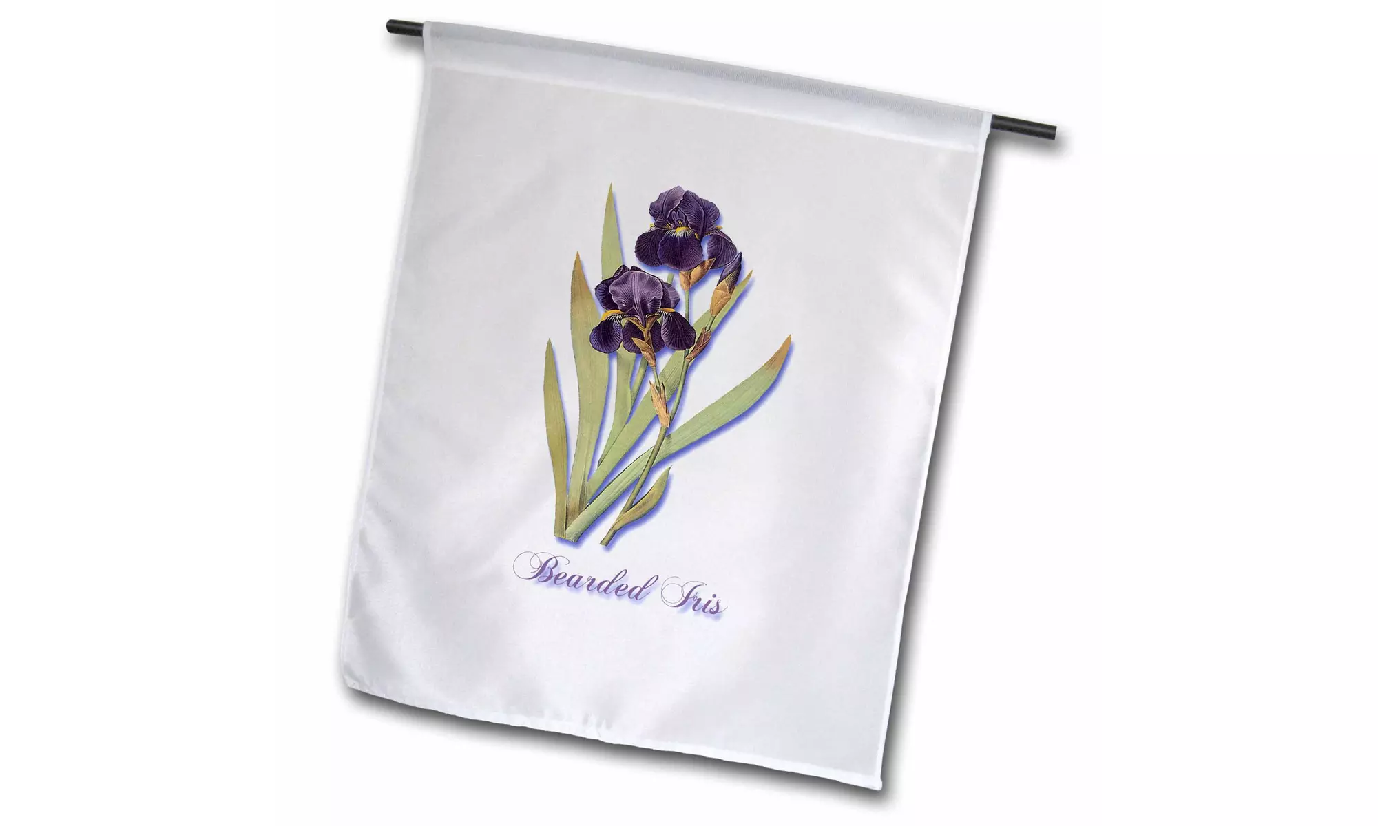  Garden Flag Bearded Iris, Botanical Print of Dark Purple Flowers with Orange - - Second Medium