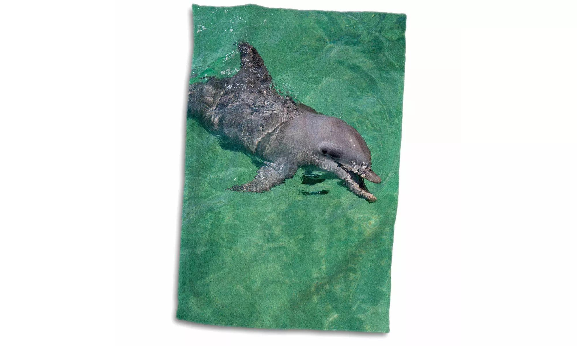  Towel - Honduras, Honduran Bay Islands. Anthonys Key, bottlenose dolphin - Primary Image