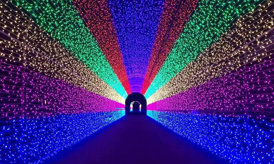 100 LED Net Mesh Fairy Lights - Second Medium