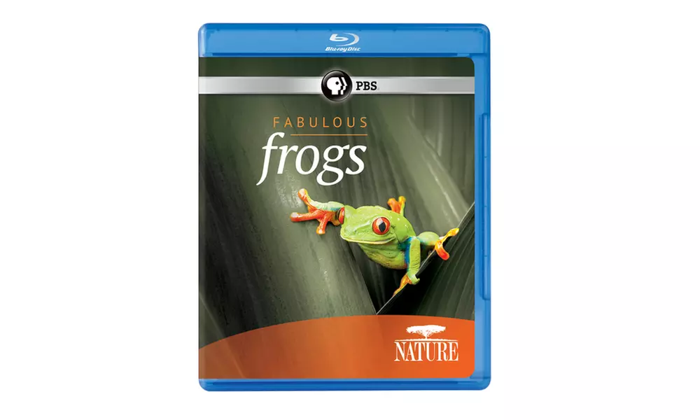 NATURE: Fabulous Frogs Blu-ray - Primary Image