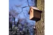 Wooden Birdhouse Garden Outdoor Decor Bird Cages Houses Paint Yourself - Second Medium