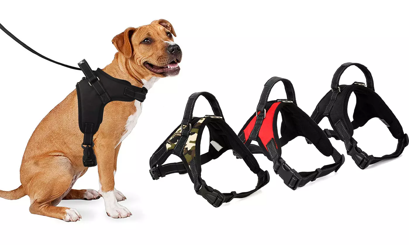 No Pull No Choke Soft Padded Dog Harness Vest for Training Walking Jogging