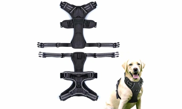 Groupon 2024 dog harness