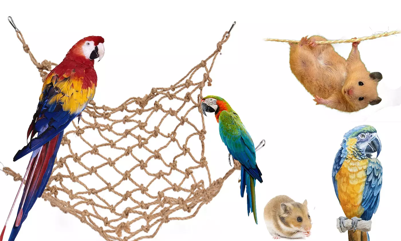 Bird Climbing Rope Net Jungle Ladder Swing Play Toy Pet Parrot Cockatiel Cage - Primary Image