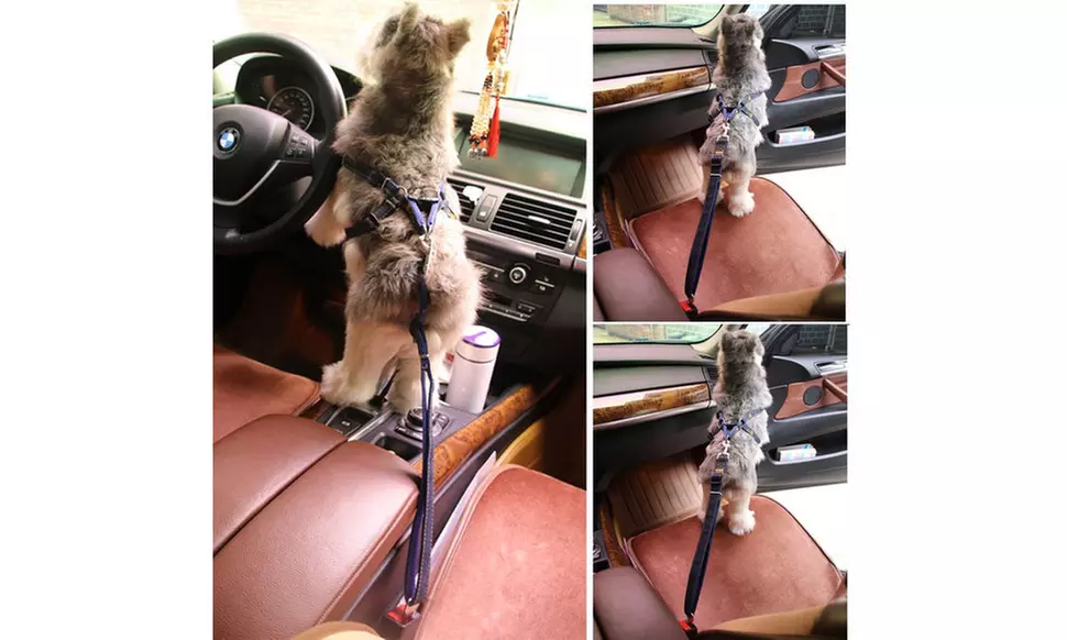 Dogs Seat Belt Vehicle Harness Headrest Restraint Adjustable Puppy Safety