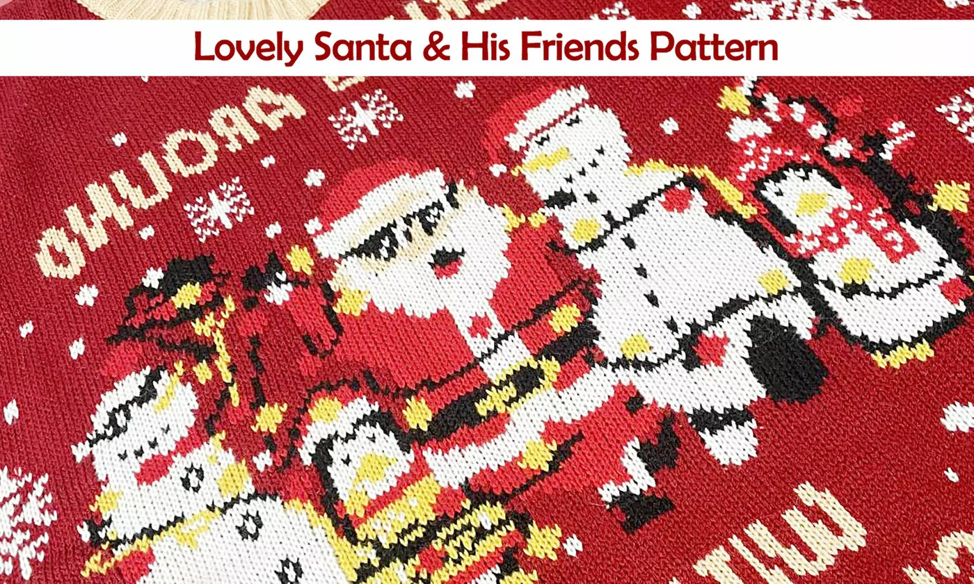 Women's Funny Christmas Pullover Long Sleeve Novelty Print Sweaters