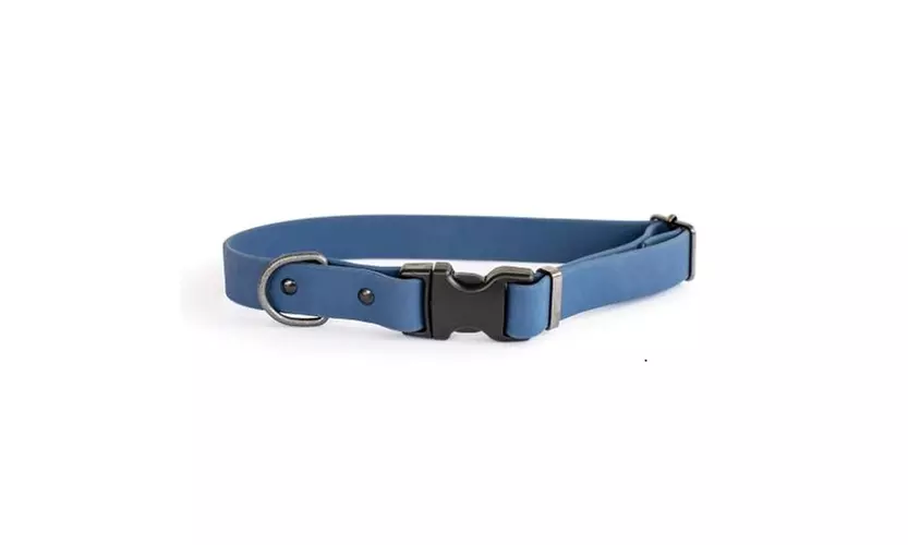 Waterproof Quick Release PVC Dog Collar - Primary Image