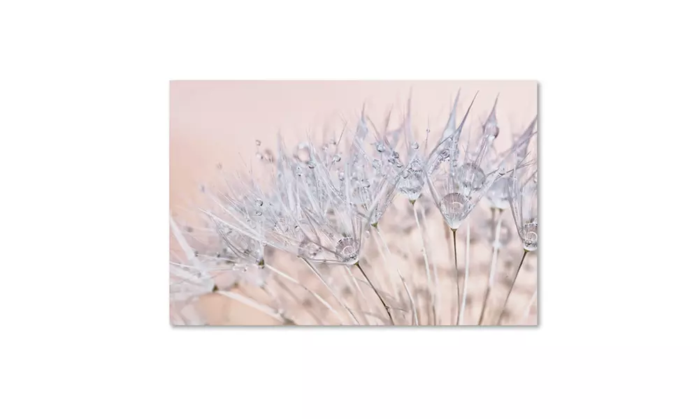 Cora Niele 'Dandelion Dew II' Canvas Art - Primary Image