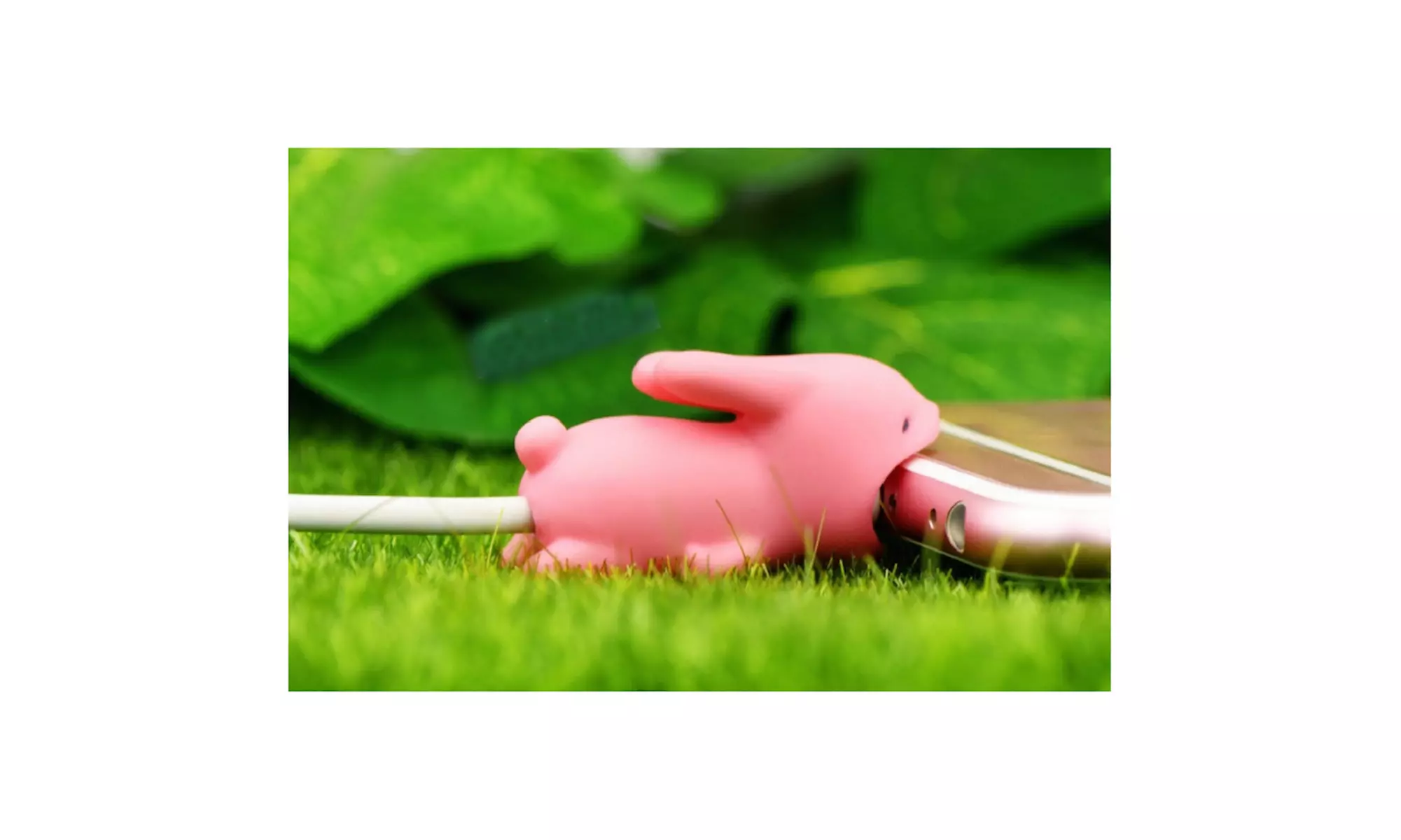 5-Pack Animal Chomper Charging Cable Protectors - Second Medium