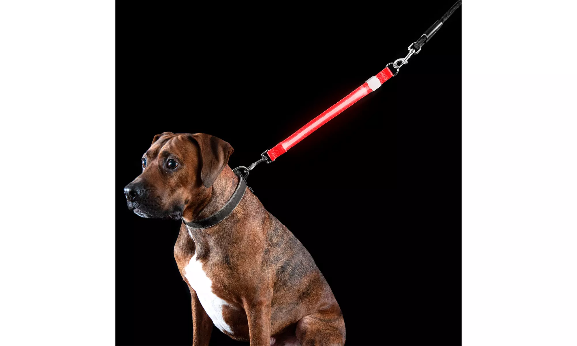 FurHaven Pet Safety Light-Up LED Dog Leash Extender - Primary Image