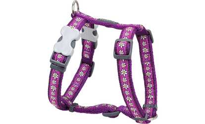 Red Dingo DH-DC-PU-LG Dog Harness Design Daisy Chain Purple