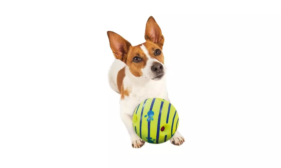 Wobble Wag Giggle Ball, Dog Toy - Second Medium