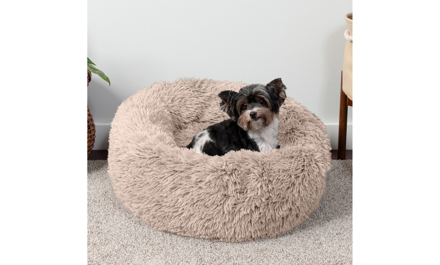 bunty dog bed groupon