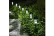 10 Pack Solar Garden Lights  - Second Medium