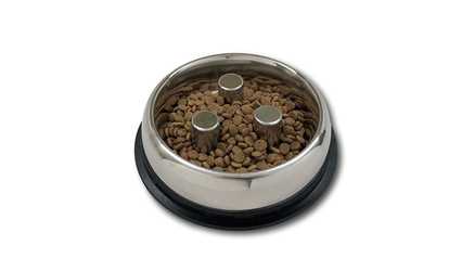 Top Dog Chews Brake-Fast Slow Feed Stainless Steel Bowl