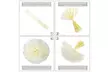 Inverlee 1st Birthday Decorations Princess Party Supplies Set - Second Medium