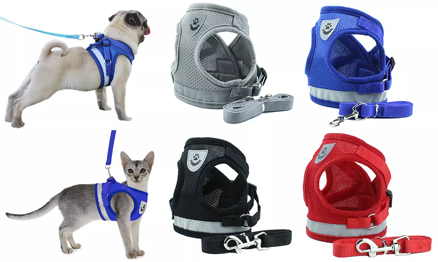 Nylon Mesh Harness with Padded Vest for Puppy and Cats No Choke Design - Primary Image