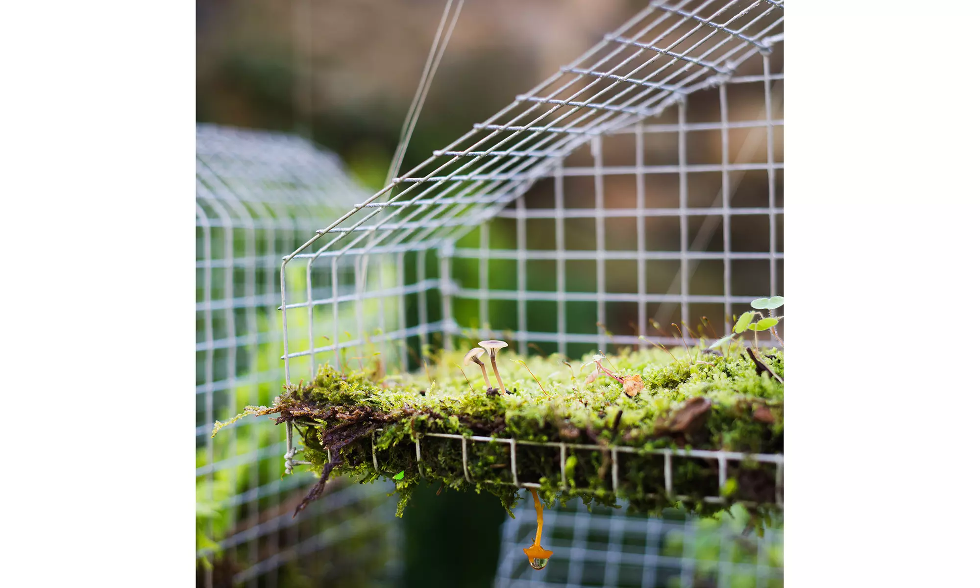 Costway  48''x 50' 1/4 inch Hardware Cloth Galvanized Chicken Wire Fence - Primary Image