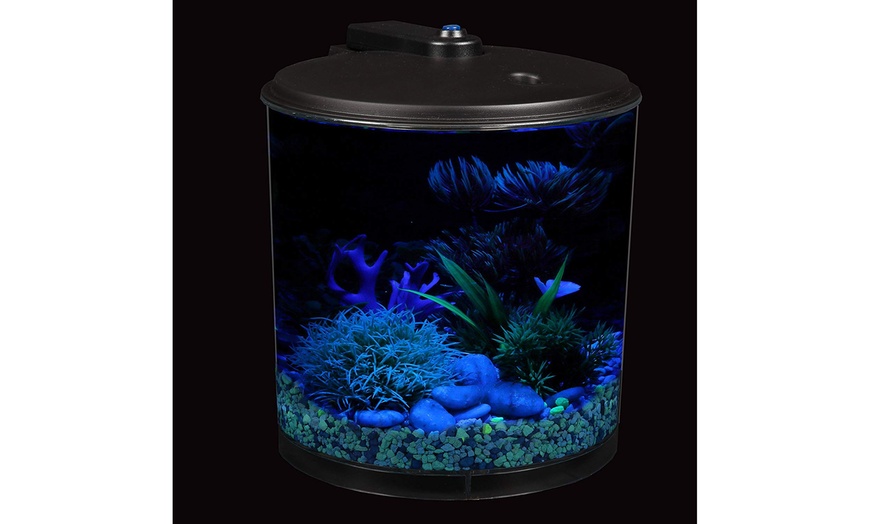 Up To 29% Off on AquaView 2-Gallon 360 Fish Ta... | Groupon Goods