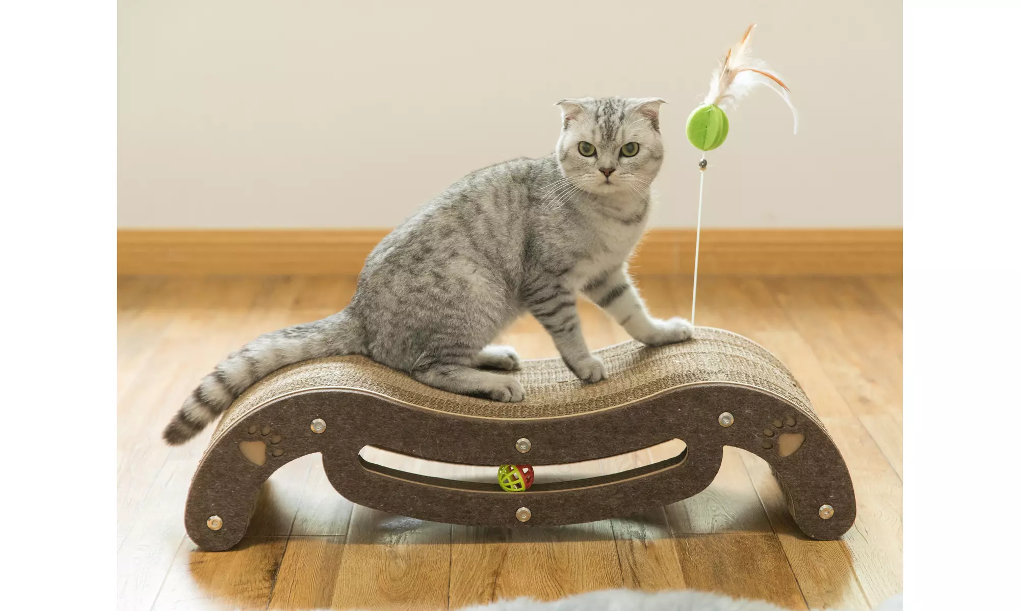 Corrugated Cardboard Cat Scratcher Lounge with Feather Hanging and Ball Toy - Primary Image