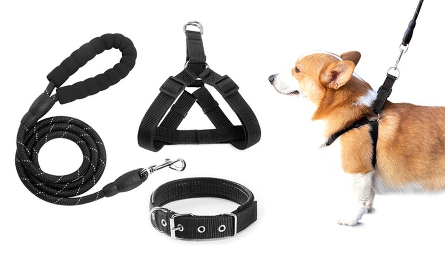 chest dog leash