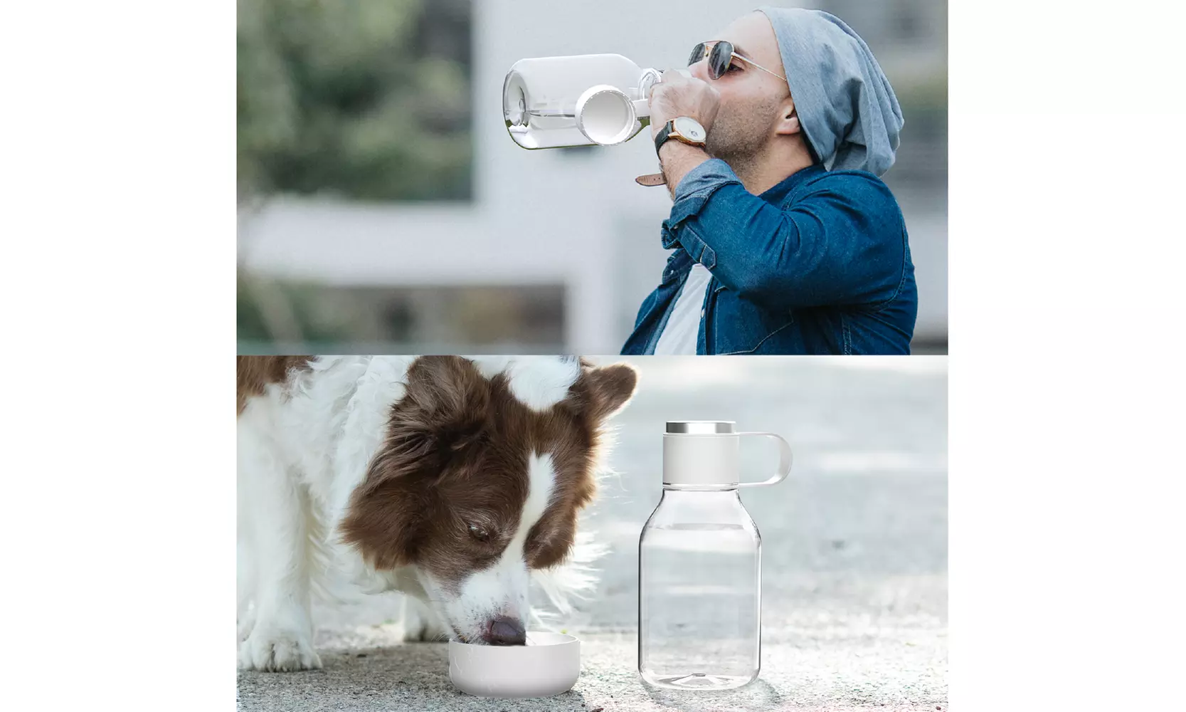 Asobu Tritan Water Bottle with Dog Bowl Attached- 50 Ounces